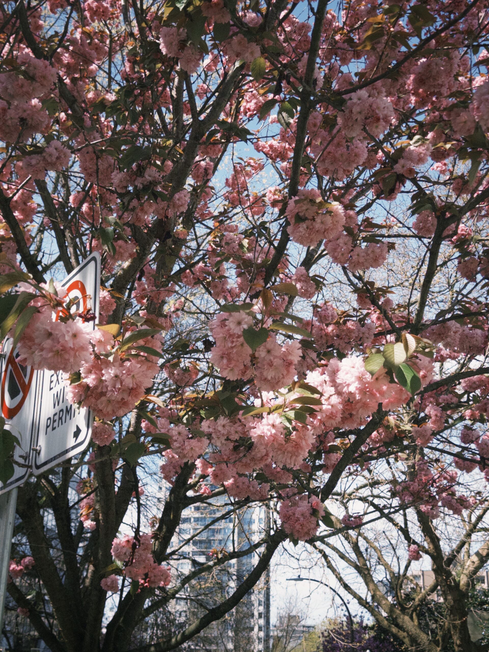 fxn 2025-04-19 14402.220 PM 2